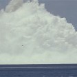 هل هذا الفيديو لتجربة قنبلة نووية روسية قادرة على تدمير كل ما في المحيطات؟