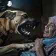 هل تُظهر هذه الصورة لحظة هجوم كلب "إسرائيلي" على سيدة فلسطينيّة؟
