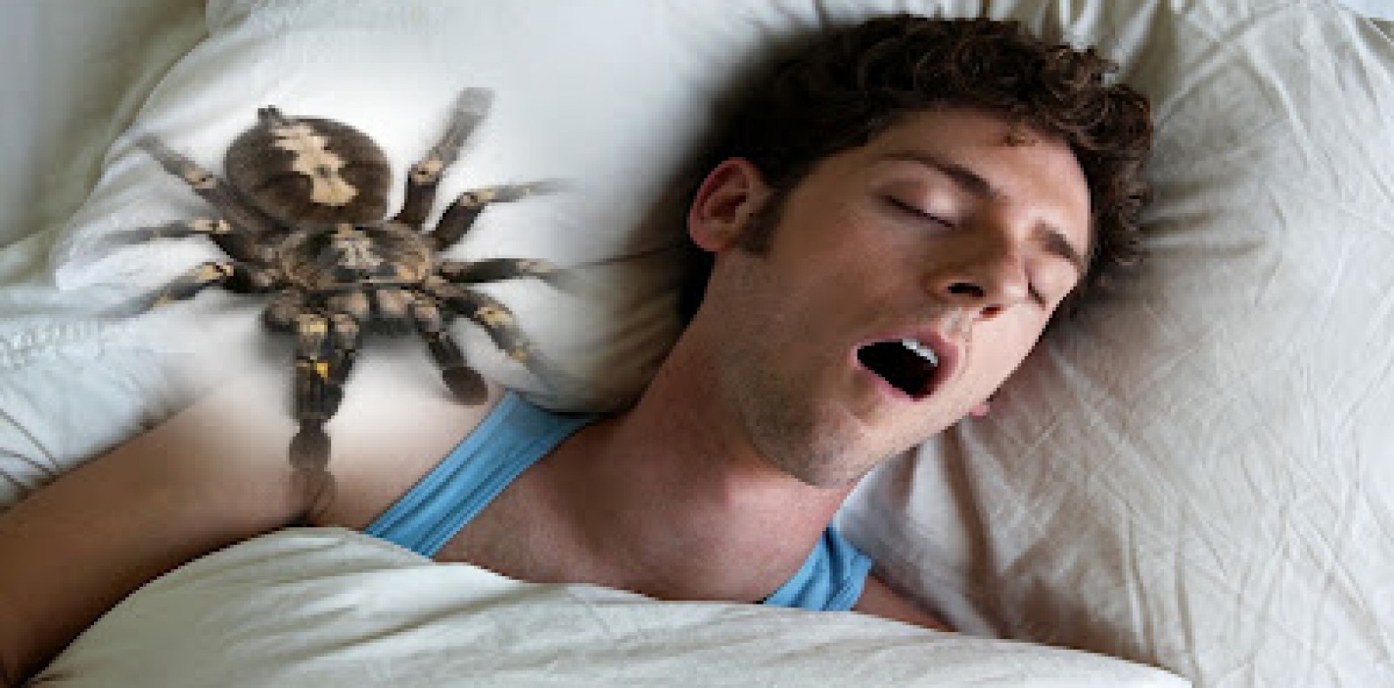 هل يبتلع الإنسان في حياته 70 حشرة منها 10 عناكب خلال نومه؟