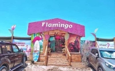 ما حقيقة وجود شاطئ في طرطوس يسمى "فلامينغو" مخصص للبنات فقط؟