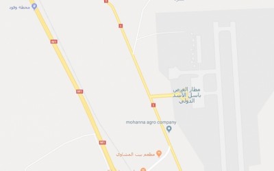 Clarification about changing the name of Bassel al-Assad International Airport on Google Maps