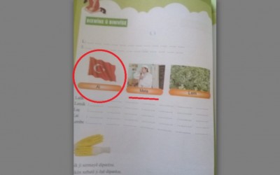 Is the Turkish flag the national flag in the school curriculum in Afrin?