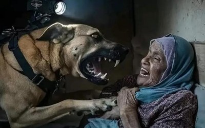 هل تُظهر هذه الصورة لحظة هجوم كلب "إسرائيلي" على سيدة فلسطينيّة؟