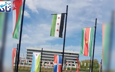 Almanya, Suriye bayrağı olarak rejim bayrağı yerine devrim bayrağını kabul ettiği doğru mu?