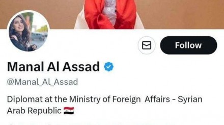 منال الأسد.. شخصية مزيفة بعلامة توثيق مدفوعة