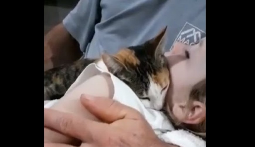 المقطع قديم وليس لتوديع قطة لطفل فلسطيني شهيد