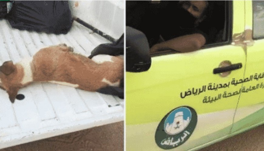 الفيديو قديم وليس لإغلاق مطعم شاورما سورية بسبب بيعه لحم كلاب في السعودية