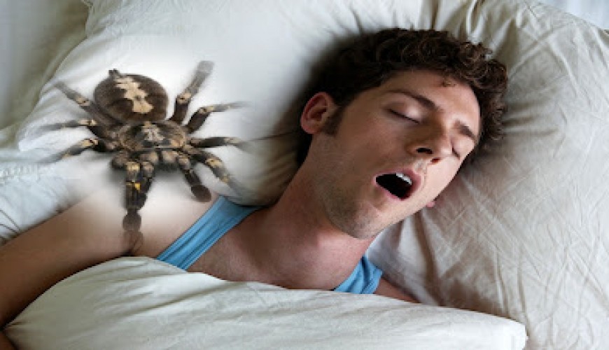 هل يبتلع الإنسان في حياته 70 حشرة منها 10 عناكب خلال نومه؟
