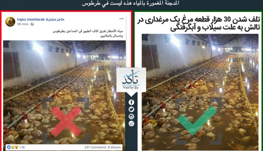 This photo of flooded poultry farm is from Iran not Tartous in Syria