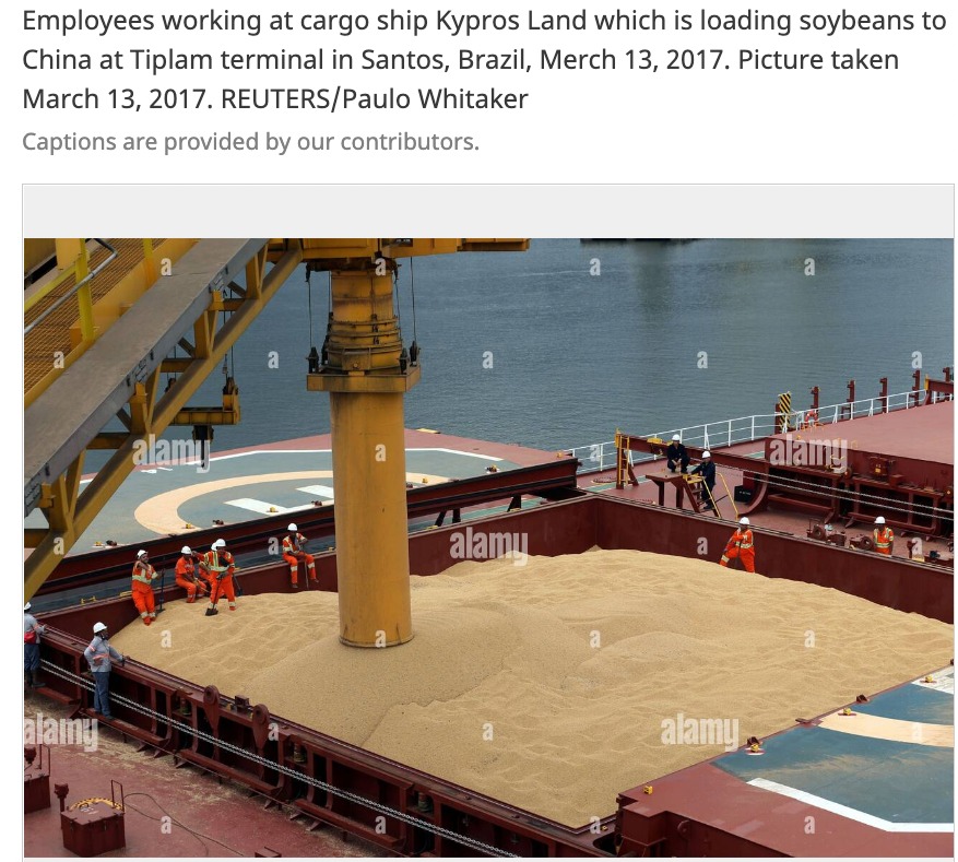 موظفين يعملون في سفينة الشحن Kypros Land التي تقوم بتحميل فول الصويا إلى الصين في محطة تيبلام في سانتوس بالبرازيل. 
