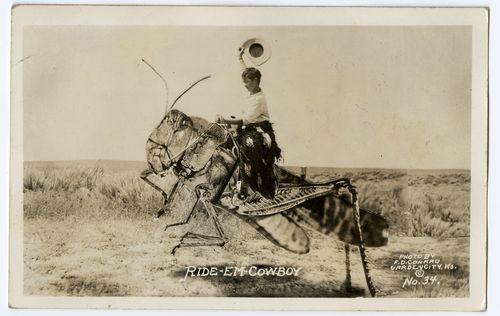 "امتطيه يا راعي البقر" بطاقة بريدية أمريكية تعود لعام 1934 | المتحف الوطني الأمريكي
