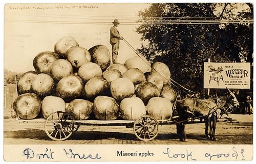 "تفاح ميزوري" بطاقة بريدية أمريكية تعود لعام 1909 | المتحف القومي الأمريكي