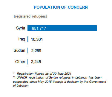 "أكثر من 850 لاجئ سوري مسجل في لبنان حتى أيار/مايو 2021" | المفوضية السامية
